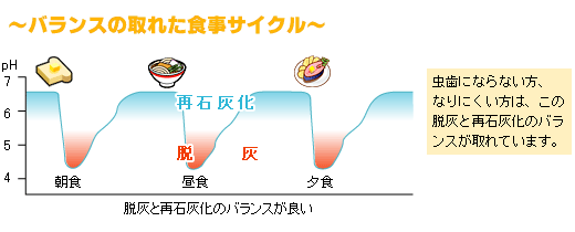 バランスの取れた食事サイクル