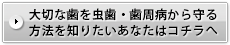 大切な歯を虫歯・歯周病から守る方法を知りたいあなたはコチラへ