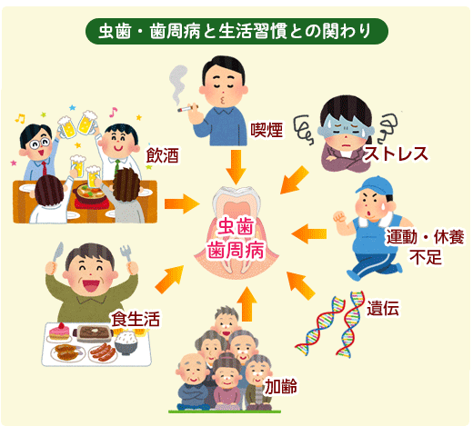 虫歯・歯周病と生活習慣病との関わり