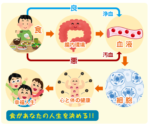 歯科食育