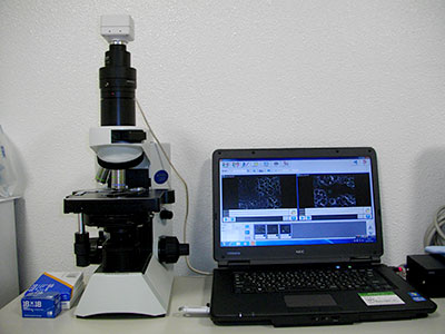 位相差顕微鏡による検査